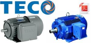 TECO AEEV (3FA)